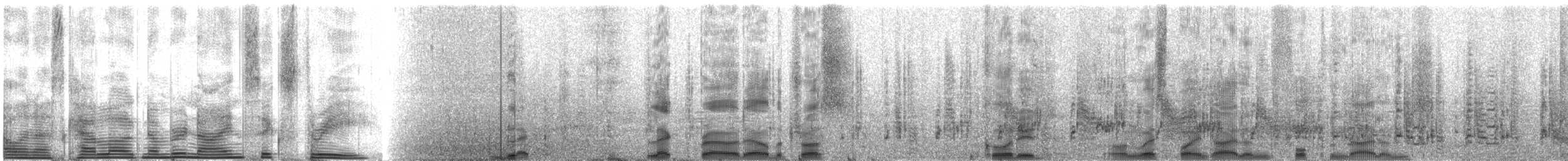 Albatro sopracciglineri (melanophris) - ML963