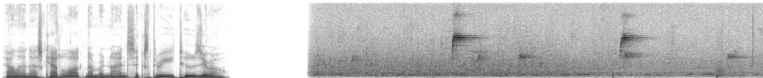 bergtrost (abyssinicus gr.) - ML96320