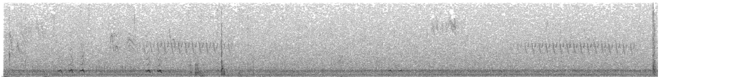 furuskrike (stelleri gr.) - ML96380251