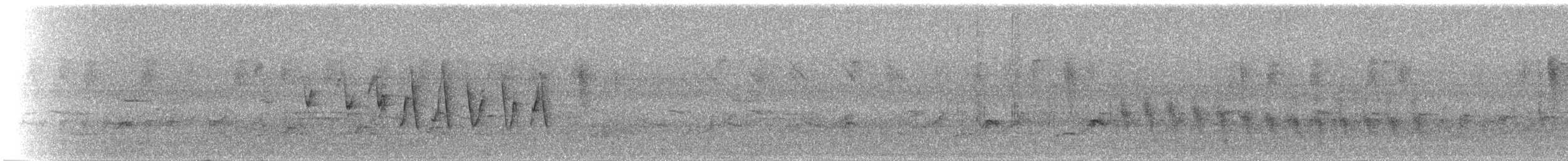 Northern Waterthrush - ML96448001