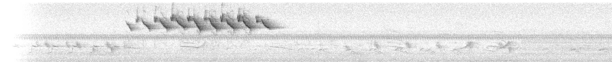 Black-and-white Warbler - ML96448031