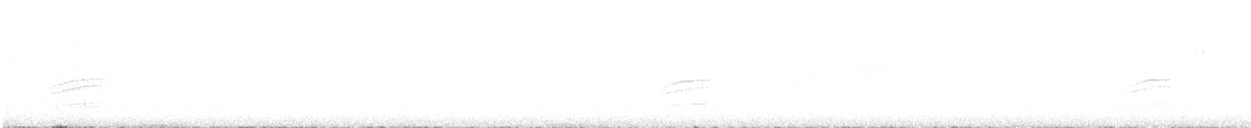 Дрізд-короткодзьоб плямистоволий - ML96449371