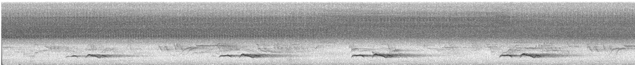 Зозуля білогорла - ML96517911
