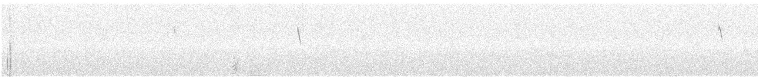 Tinamou orné - ML96526111