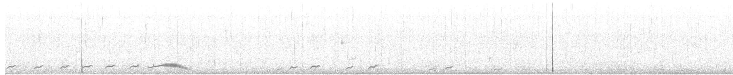 Pauraquenachtschwalbe - ML96529681