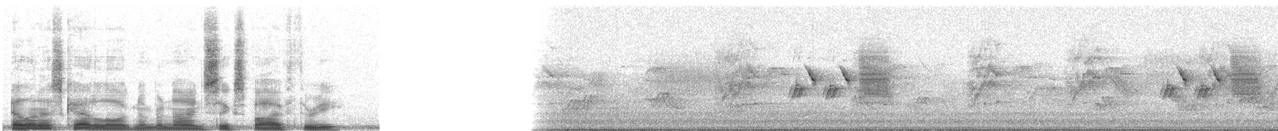 Northern House Wren (Brown-throated) - ML9653