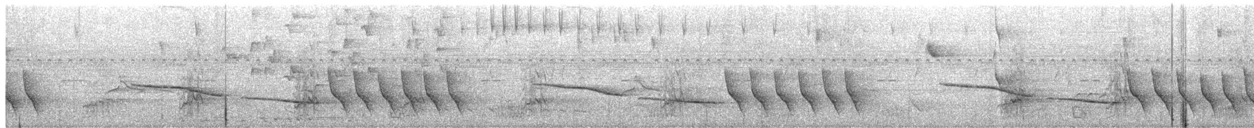 Troglodyte coraya - ML96539441