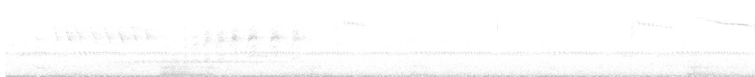 Tasmanerddrossel - ML96550011