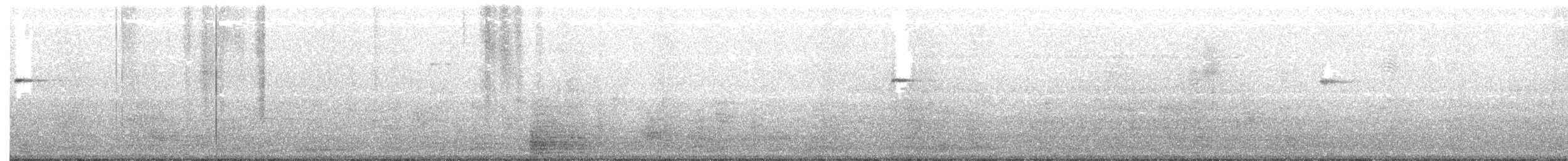 Вівчарик світлоногий - ML96563761