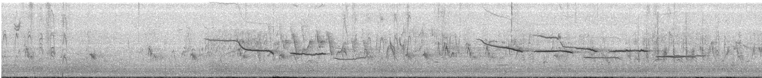 Бруант чорнобровий - ML96693461