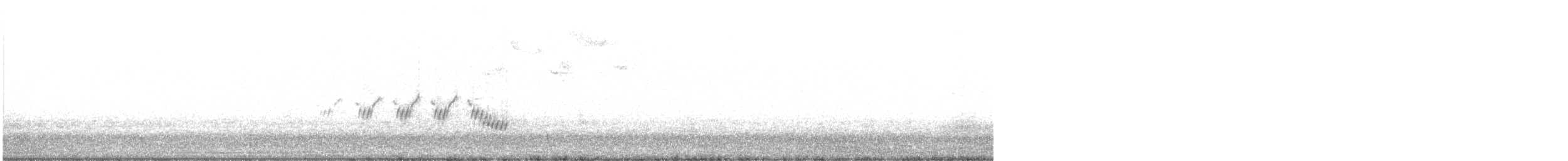 Черногорлая хвойница - ML96744131
