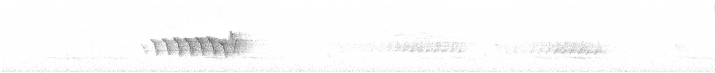 Yellow-rumped Warbler - ML96789491