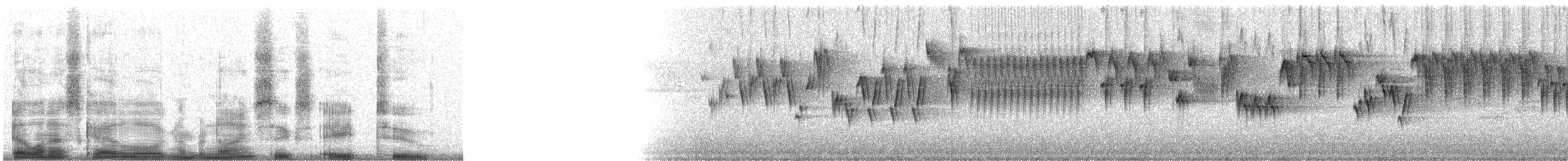 Pacific Wren (Pacific) - ML9682