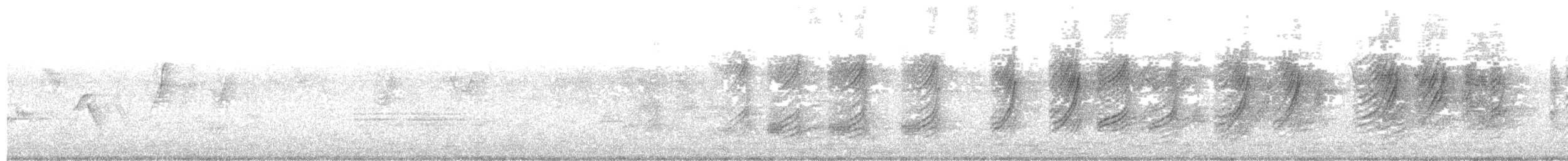 asurskjære (cyanus gr.) - ML96850181
