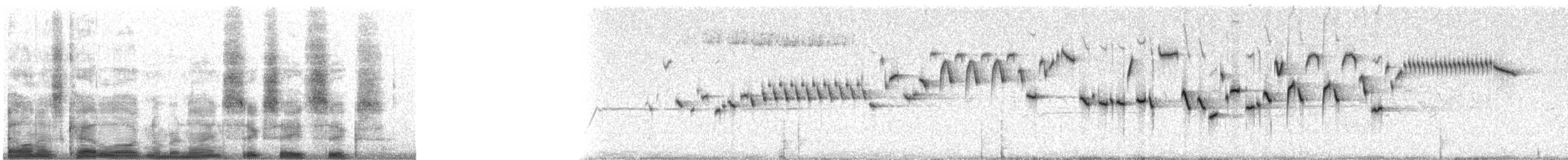 Winter Wren - ML9686