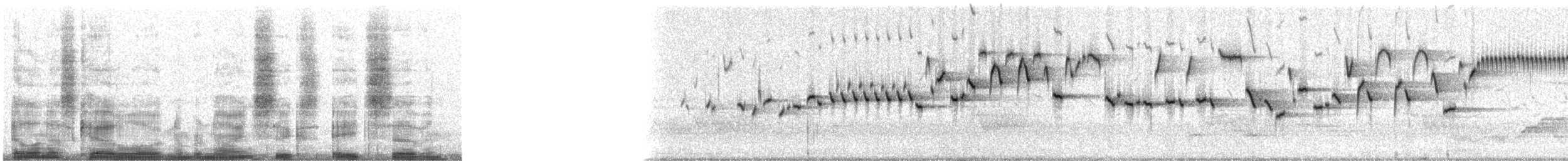 Winter Wren - ML9687