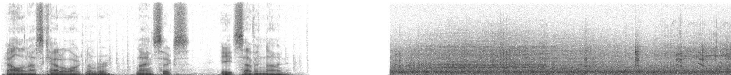 Красноногая олуша (rubripes) - ML96879