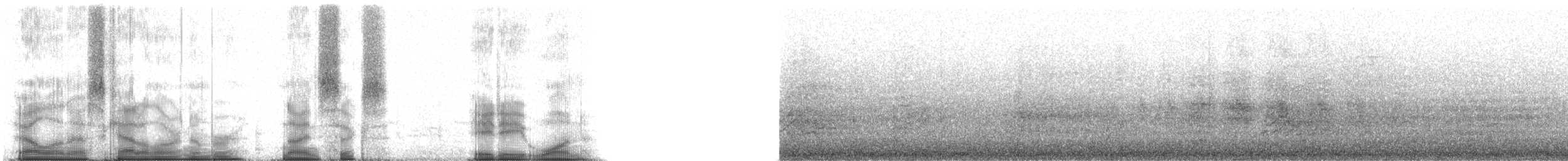 Красноногая олуша (rubripes) - ML96881