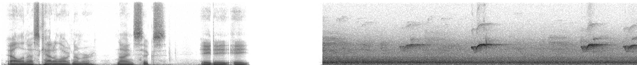 太平洋金斑鴴 - ML96888