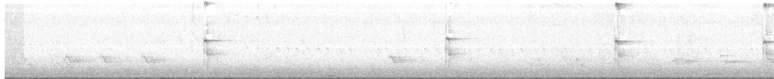 strakapoud americký - ML96905221