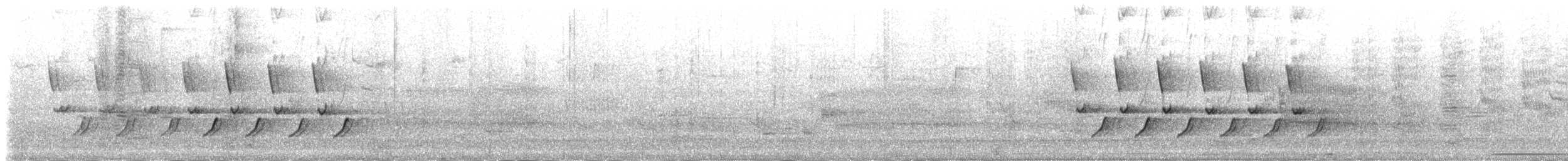 Каролинский крапивник - ML96936951