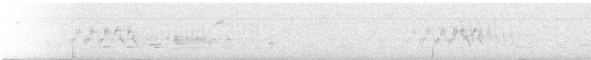 MacGillivray's Warbler - ML97024411