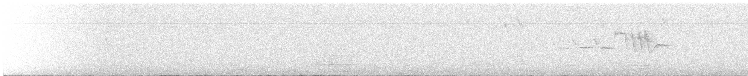 Hermit Warbler - ML97025211