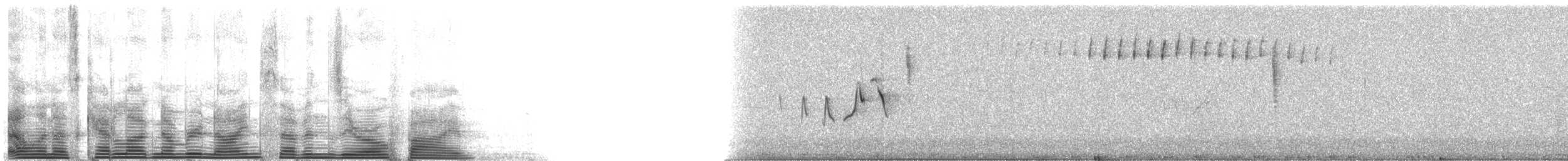 Magnolia Warbler - ML9705