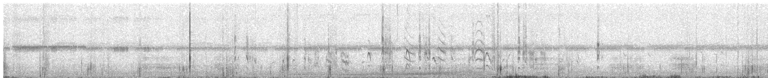 Scherenschwanz-Königstyrann - ML97068031