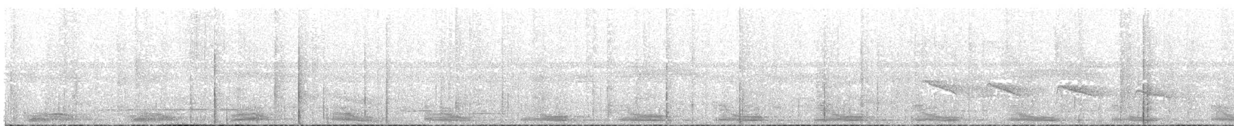 クロフイリコチュウハシ - ML97070341