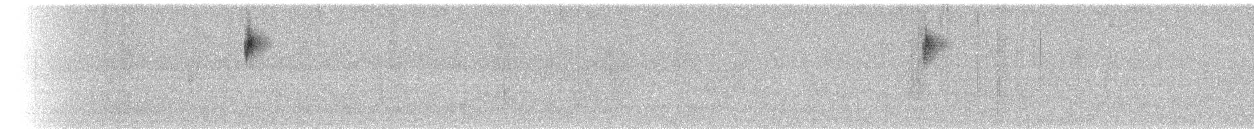 lesňáček černobílý - ML97153621