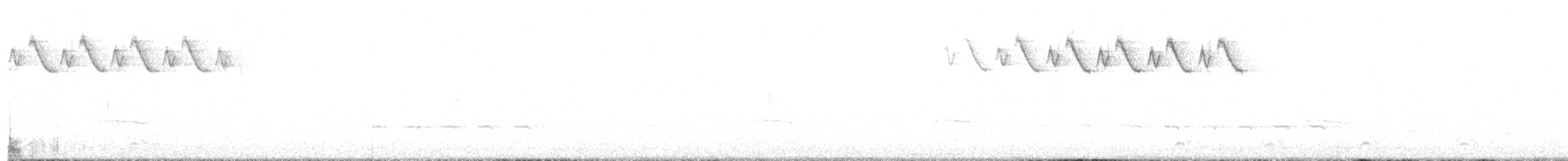 Paruline noir et blanc - ML97173671