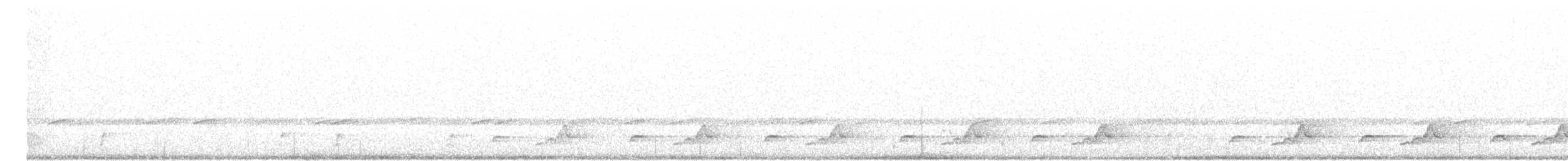 Schwarzkehl-Nachtschwalbe - ML97204261