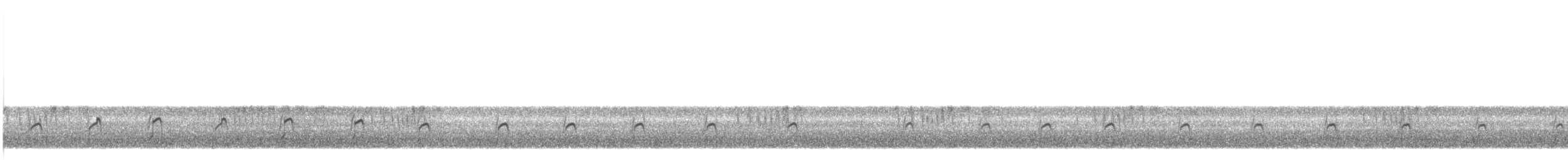 Chorlitejo Piquilargo - ML97225991