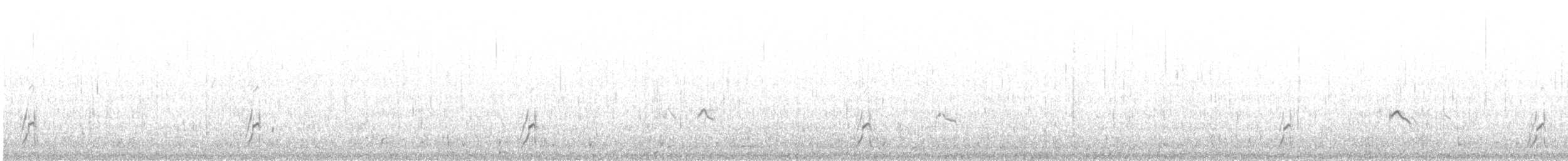 Long-billed Plover - ML97230451