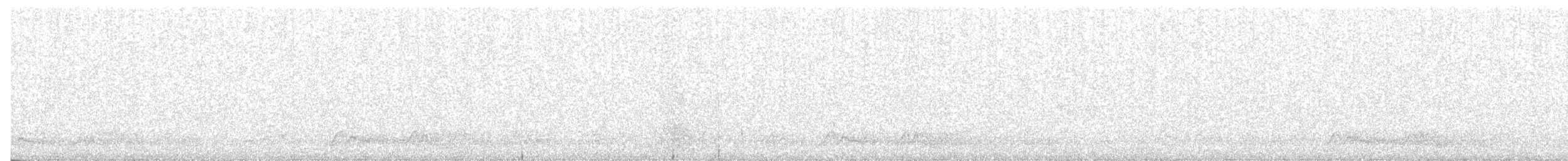 チャックウィルヨタカ - ML97262991