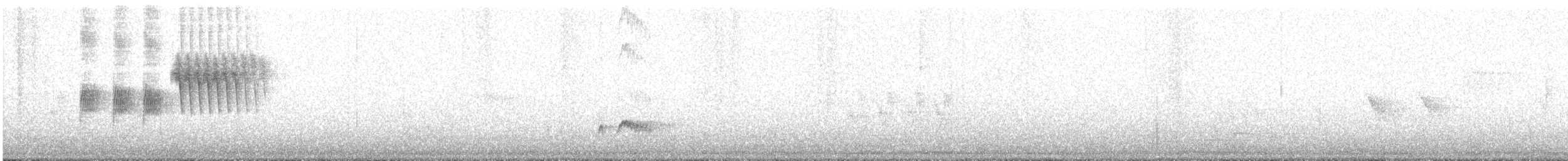 Тауї плямистий - ML97323041