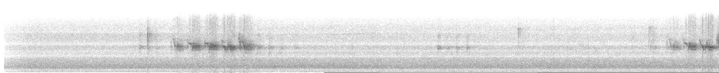 Black-throated Gray Warbler - ML97404681