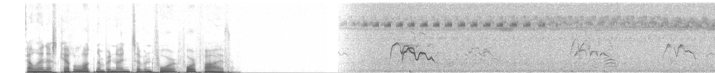 Madagaskarblatthühnchen - ML97445