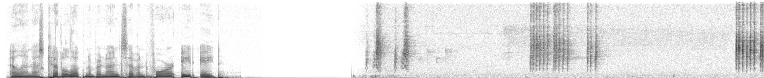 Madagaskarspötter [typica-Gruppe] - ML97488