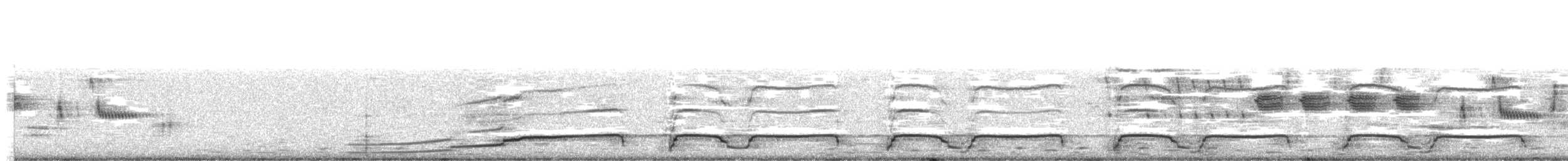 ハシグロアビ - ML97500061