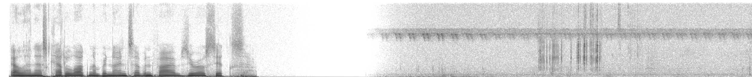 Madagaskarspötter [typica-Gruppe] - ML97506