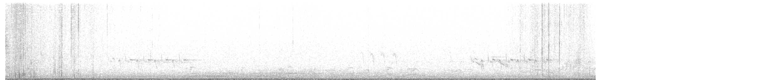 Поплітник каролінський - ML97508341