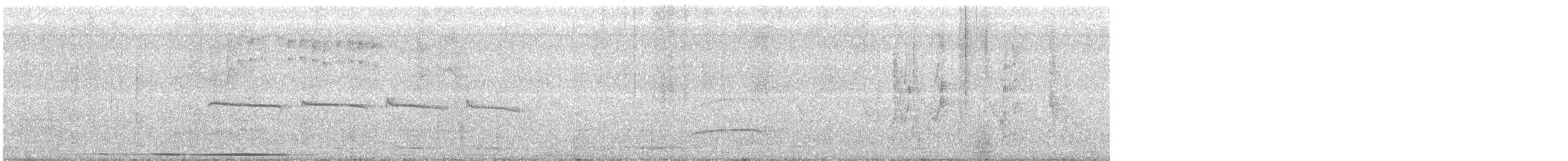 Тиранчик-тонкодзьоб північний - ML97509471