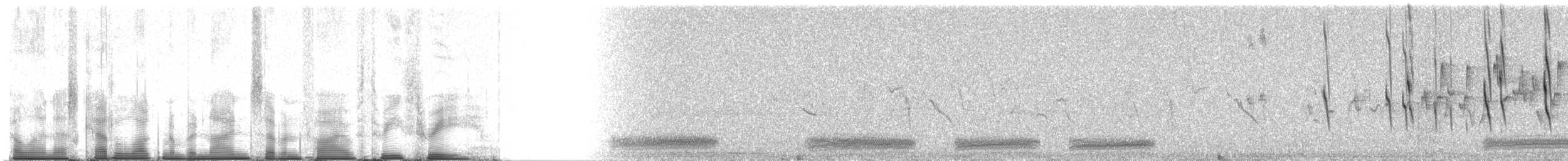 Черноклювый зимородок - ML97533