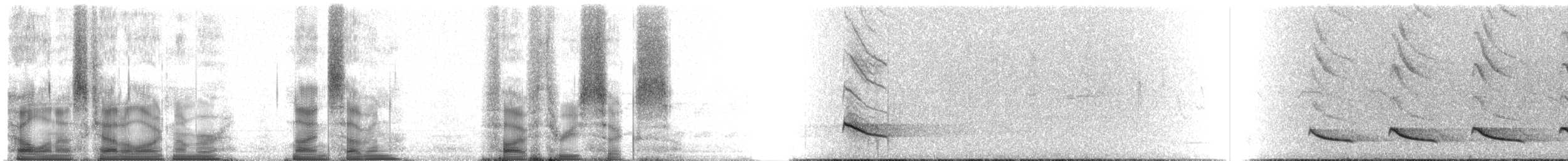 kroknebbvanga (curvirostris) - ML97536