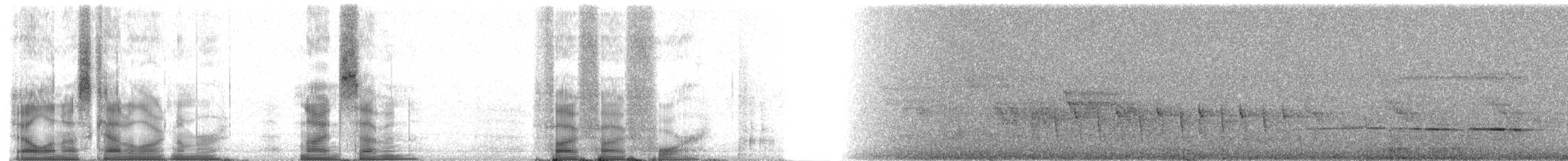 Forest Rock-Thrush (Forest) - ML97554