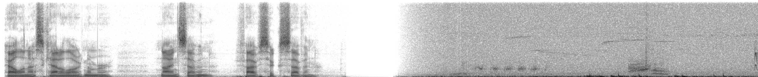 ニシジカッコウ - ML97567