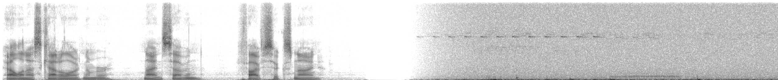 Коуа чубатий (підвид cristata/dumonti) - ML97569