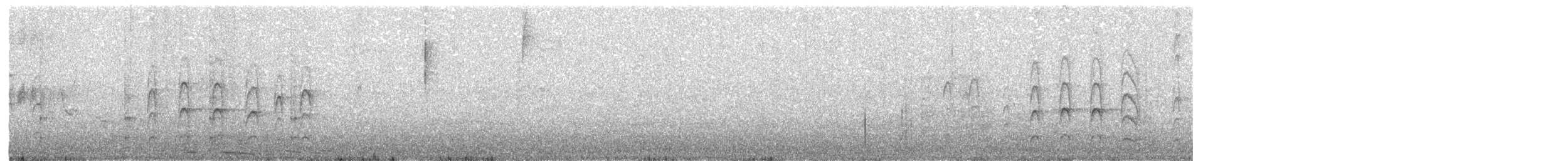 Weißbart-Dickichtschlüpfer - ML97594321